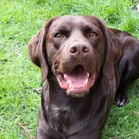 Marley